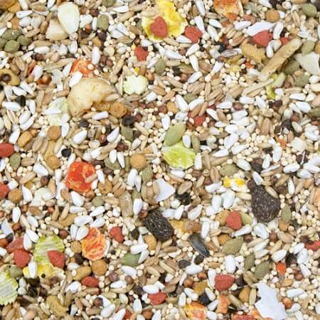 Higgins Safflower Gold-Fortified Diet for small to medium Hookbills-Closeup-Lady Gouldian Finch Supplies USA