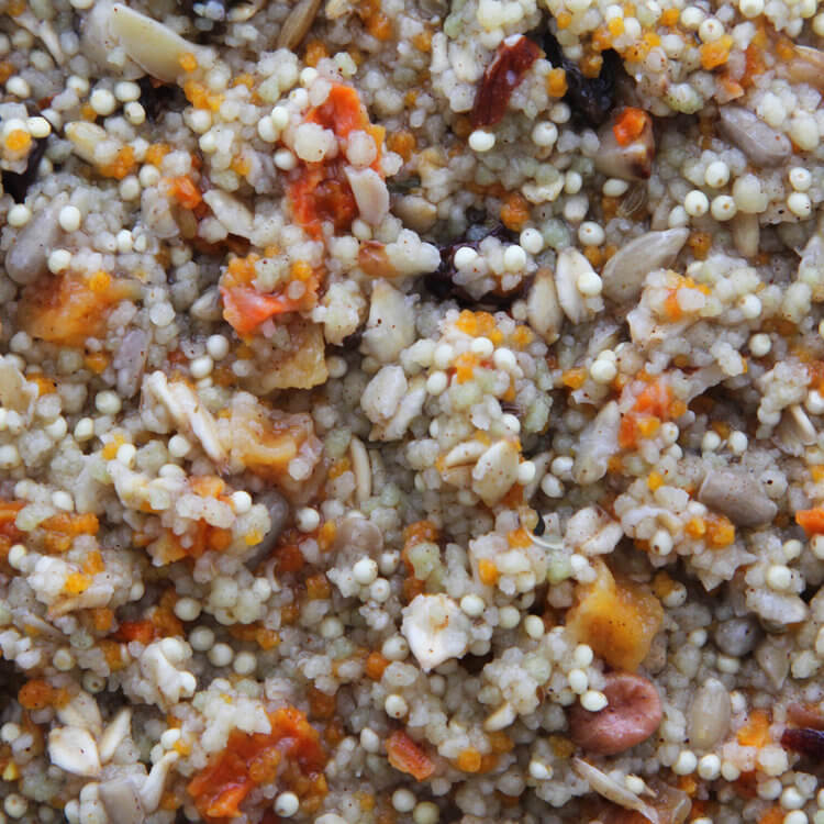 Higgins Spice Market - Gourmet Soft Food Treat for All Birds - Cooked - Glamorous Gouldians