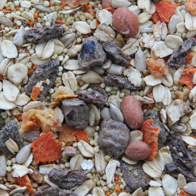 Higgins Spice Market - Gourmet Soft Food Treat for All Birds - Uncooked - Glamorous Gouldians