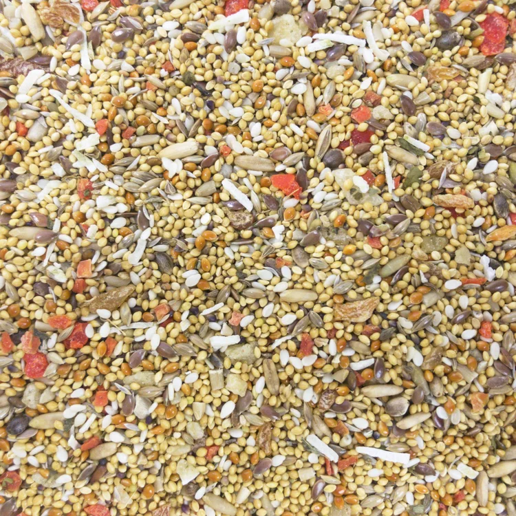 Higgins Sunburst Fruit & Veggies-CloseUp- Lady Gouldian Finch Supplies USA-Glamorous Gouldians
