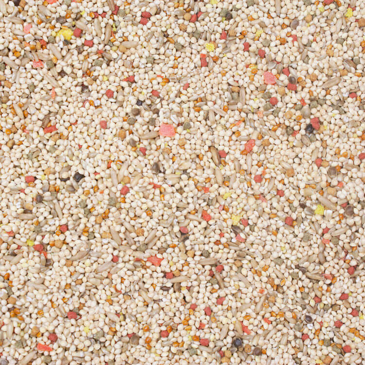 Higgins Vita Parakeet - Fortified Seed Mix for Parakeets - Bird Food - Glamorous Gouldians