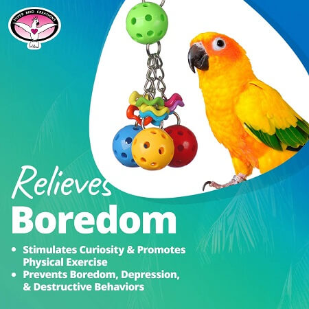 Super Bird Jingle Berries - Bird Cage Toy - Relieves boredom - Bird Cage Accessory - Glamorous Gouldians