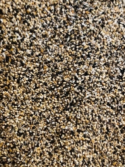 Lady Gouldian Finch Breeding Seed Mix - Close up - Lady Gouldian Finch Supplies USA - Glamorous Gouldians