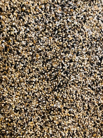 Lady Gouldian Finch Breeding Seed Mix - Close up - Lady Gouldian Finch Supplies USA - Glamorous Gouldians