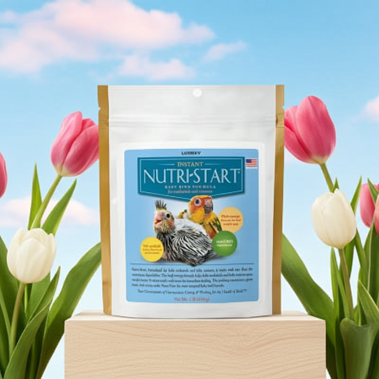 Lady Gouldian Finch Hand Feeding Formula - Lafeber Nutristart - Baby Bird Formula