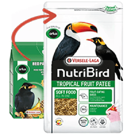 Orlux Tropical Fruit Patee, replacing Beo Pate, great frugivore Food, Bird Food, Bird Supplies
