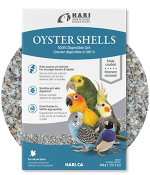 Oyster Shells - Hagen - 100% digestible grit for all pet birds - Calcium Supplements - Bird Supplies