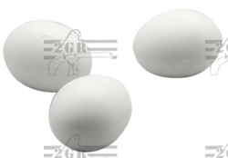 2gr art11 - Large Plastic Fake Egg used when breeding Parrots - Bird Breeding Supplies - Glamorous Gouldians