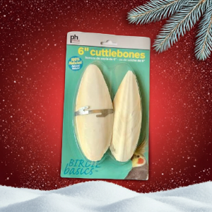 Prevue Pet 2Pk Large Cuttlebone 6 Inch a bird cage essential for grooming beaks - Lady Gouldian Finch Supplies USA