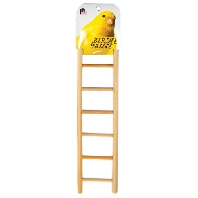 Prevue Pets pine ladders in 5 sizes, nice for fledglings and older birds to climb - Finch and Canary Cage Accessories 