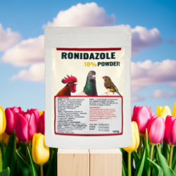 Ronidazole 10% for treating protozoa in cage birds - Parasitic - Avian Medication - Lady Gouldian Finch Supplies USA