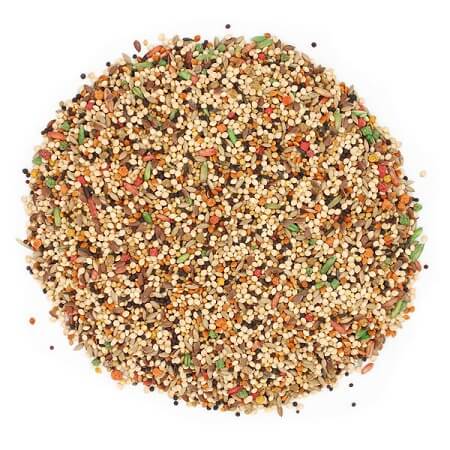 Sunseed Vita Finch Seed Mix - Finch Food - Seed -  Close Up Picture