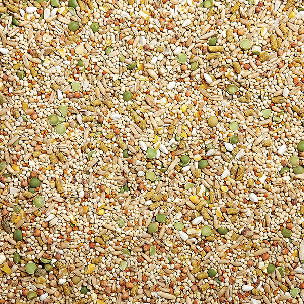 Sunseed Vita Dove & Pigeon Diet-Delicious fortified Diet - Close up-Bird Food-Glamorous Gouldians