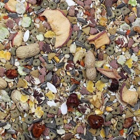 Sunseed Vita Prima Conure Food-Close Up-Fortified Seed Mix-Bird Food-Glamorous Gouldians