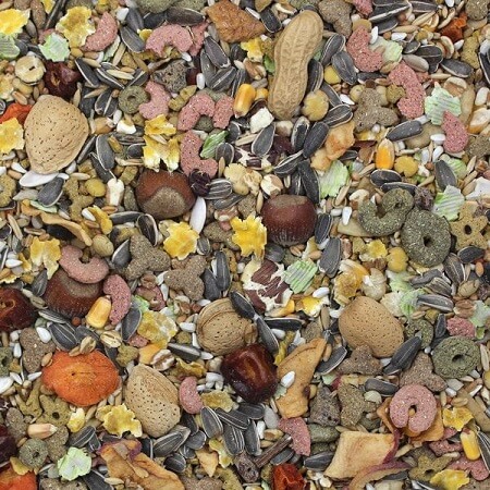 Sunseed Vita Prima Parrot-Fortified Seed Mix-Closeup- Lady Gouldian Finch Supplies-Glamorous Gouldians