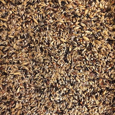 Terri Canary Breeding Seed Mix with White perilla - Fresh clean seed for breeding canaries - Glamorous Gouldians