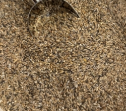 Terri Canary Resting Mix, Fresh seeds, lower in fat-Canary Food-Canary Supplies-Glamorous Gouldians