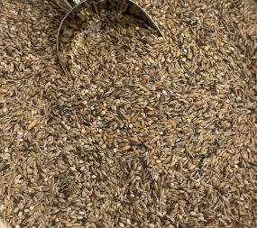 Terri Canary Resting Mix - Low Fat Resting Blend for Canaries - Canary Food