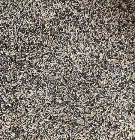 Premium Herb Seed Mix-Custom Blend-High in fat great breeding diet-Lady gouldian finch breeding supplies-Glamorous Gouldians