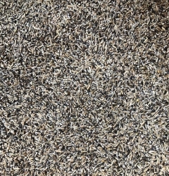 Premium Herb Seed Mix-Custom Blend-High in fat great breeding diet-Lady gouldian finch breeding supplies-Glamorous Gouldians