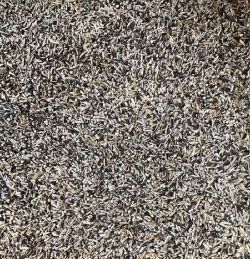 Premium Herb Seed Mix-Custom Blend-High in fat great breeding diet-Lady gouldian finch breeding supplies-Glamorous Gouldians