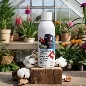 Vetafarm Avian Insect Liquidator Concentrate - avian bug spray - Lady Gouldian Finch Supplies USA