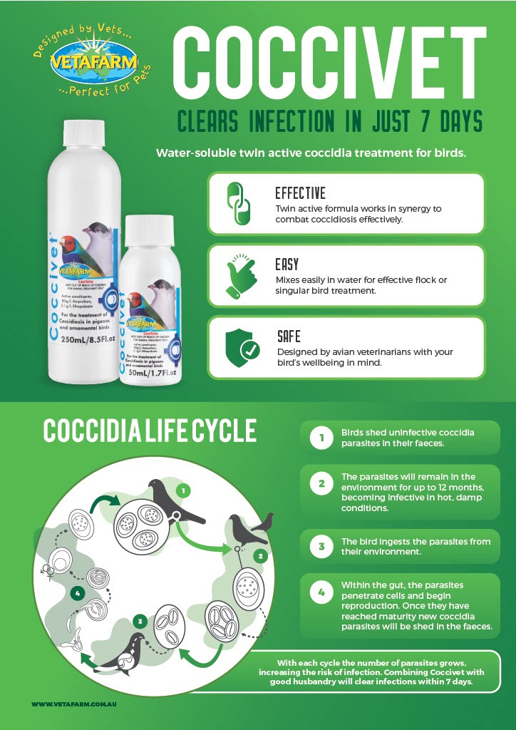 Vetafarm Coccivet treatment for coccidia in caged birds - lady gouldian finch supplies - Glamorous Gouldians