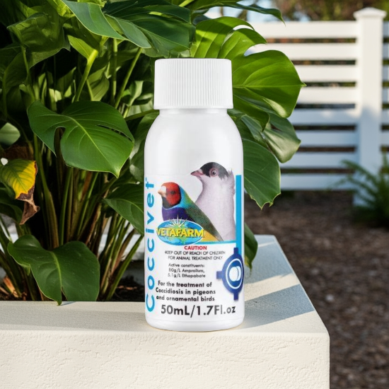 Vetafarm Coccivet - Coccidia treatment for birds administered in their drinking water - 50ml bottle - Avian OTC Medication