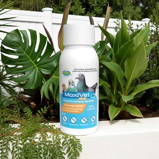 Moxivet - 50ml - Vetafarm Products - air sac mite treatment - wormer - parasitic - Glamorous Gouldians