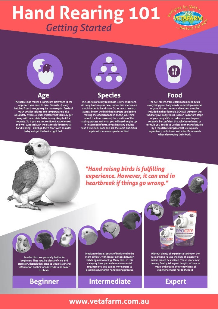 Vetafarm Neocare Hand Feeding Formula - Lady Gouldian Finch Hand Feeding Supplies