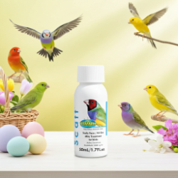 Vetafarm Scatt - Lady Gouldian Finch Suplies - Air Sac Mite Treatment - Avian Medication - Parasitic