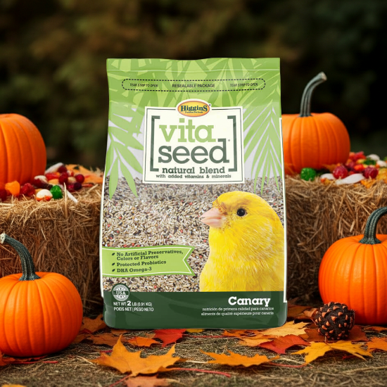 Higgins Vita Canary-Fortified Seed Mix-An eye catching, premium mix that will attract even the finickiest of eaters.