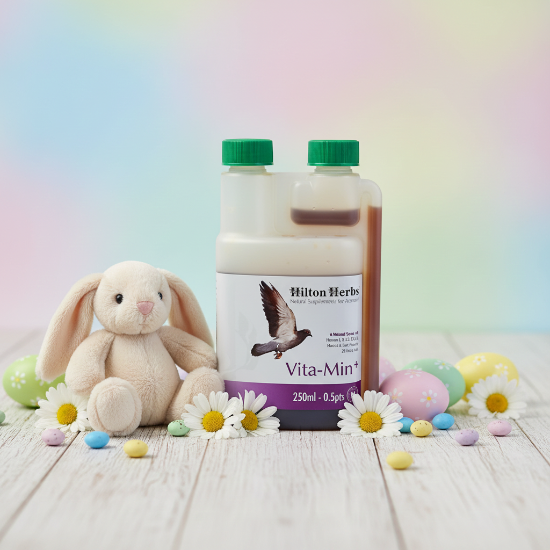 Hilton Herbs Vita-Min Plus - All natural Vitamins Supplement for Birds - Glamorous Gouldians