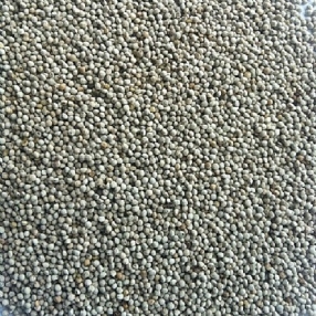 White Perilla Seed is a great breeding seed to add to your mix, Finch And Canary Breeding Supplies, Food