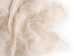 White She Goat Hair - Nesting Materials - Sisal Fibre - Breeding Supplies - Finch and Canary Supplies