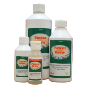 Bird Care Company Potent Brew 