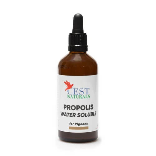 Cest Naturals Propolis - All-Natural Broad Spectrum Supplement - CAGED BIRDS, PIGEONS, & CHICKENS