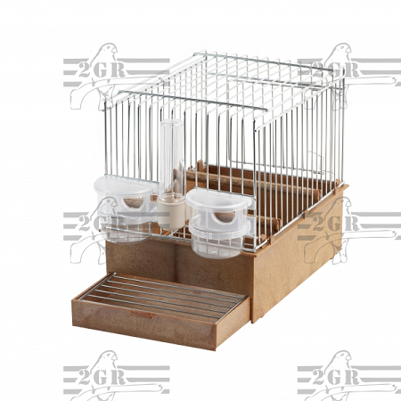 2gr art20 - Song Bird Cage - Includes Feed cups and perches no water tube - Bird Cage - Glamorous Gouldians