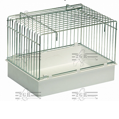 Outside Bird Bath - 2gr art23 - wire cage around large white plastic bath tub - Glamorous Gouldians