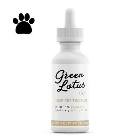 Green Lotus Hemp Pet Tincture - CBD for birds - Natural Calming Supplement - Avian Medications - Glamorous Gouldians