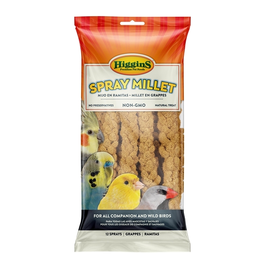 Higgins Snack Attack Spray Millet-12 pcs-NonGMO-100% Natural-Bird Food-Treat-Glamorous Gouldians