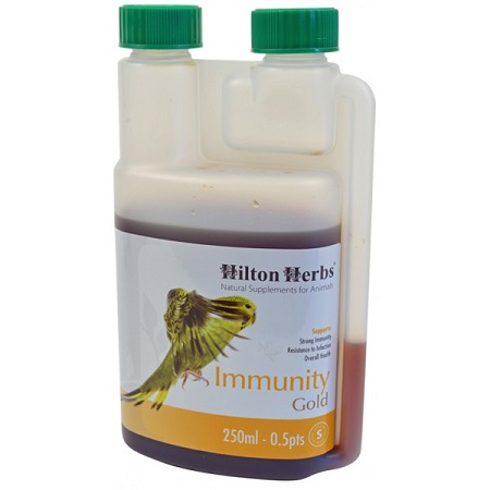 Hilton Herbs Immunity Gold - Herbal Rememedy for building the Immune system - Natural Remedy - Glamorous Gouldians